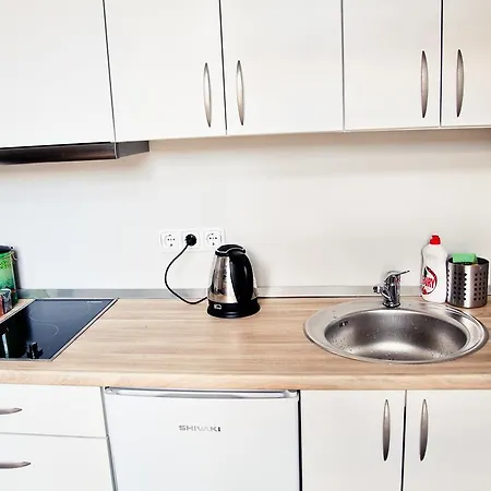 Lejlighed Mini-lofts In The City Center *