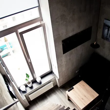 Mini-lofts In The City Center