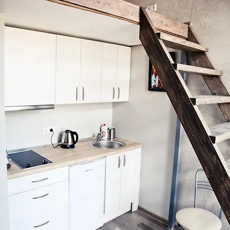 Lejlighed Mini-lofts In The City Center