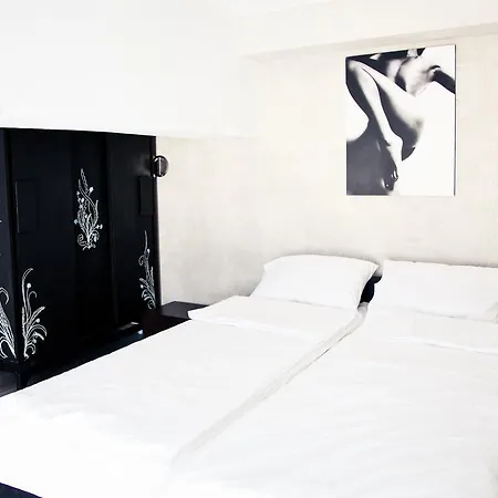 Lejlighed Mini-lofts In The City Center