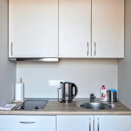 Lejlighed Mini-lofts In The City Center *
