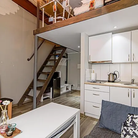 Mini-lofts In The City Center