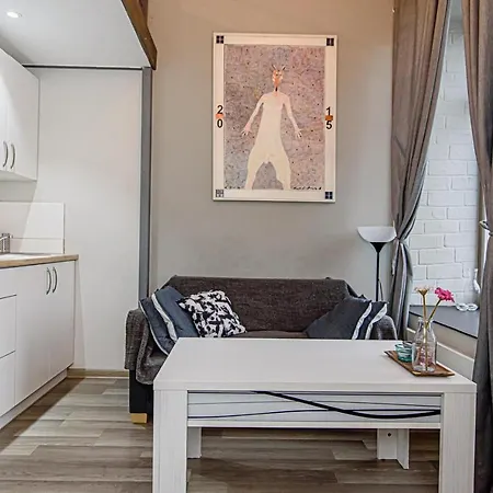 Mini-lofts In The City Center Vilnius